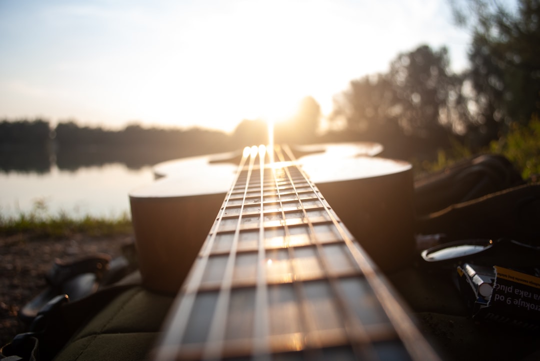 Photo Guitar strings